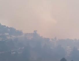 Pobladores de Tepuxtepec, Oaxaca, piden auxilio al gobierno para combatir incendio forestal