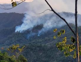 Fuerte incendio intermunicipal consume bosques de Pochutla y Huatulco, en la Costa de Oaxaca