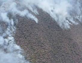 Incendio sin control en Tepelmeme alcanza a la Reserva de Biosfera Tehuac&aacute;n-Cuicatl&aacute;n: piden ayuda en Oaxaca 