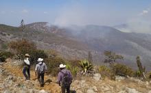 Se reactiva incendio forestal en la Reserva de la Biosfera en Tepelmeme, en la Mixteca de Oaxaca