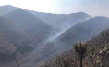 Piden auxilio para apagar fuego que devora bosques de Suchitepec, en la Mixteca de Oaxaca