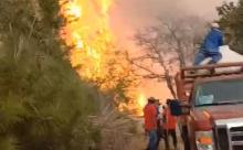 Piden ayuda ante fuerte incendio forestal en Capulálpam; 16 siniestros consumen bosques de Oaxaca