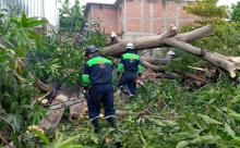 Pese a riesgo de desastres, 20 municipios del Istmo de Oaxaca carecen de consejos de Protección Civil