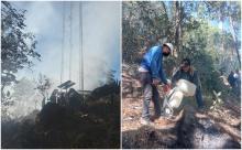 Pobladores de Yucuhiti, Oaxaca, piden auxilio para sofocar incendio forestal fuera de control 