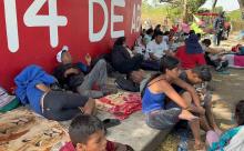 Buscan caravanas de migrantes huir de gobiernos dictatoriales: activistas