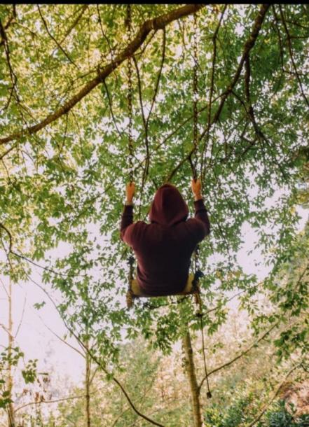 Aseguran que hadas, duendes y brujas habitan bosque mexicano 