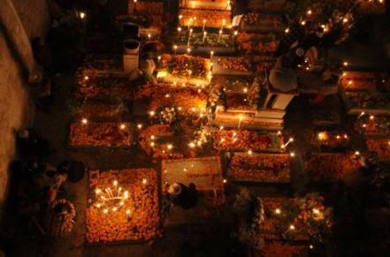 Cempasúchil, el significado de la flor de Día de Muertos | Oaxaca