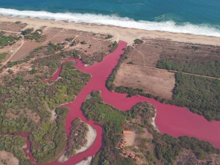 laguna_rosa_oaxaca.jpg