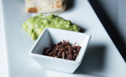 chapulines.jpg