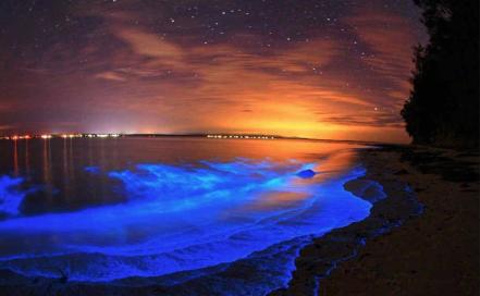 foto_bioluminiscencia_facebook_travel_and_tips.jpeg